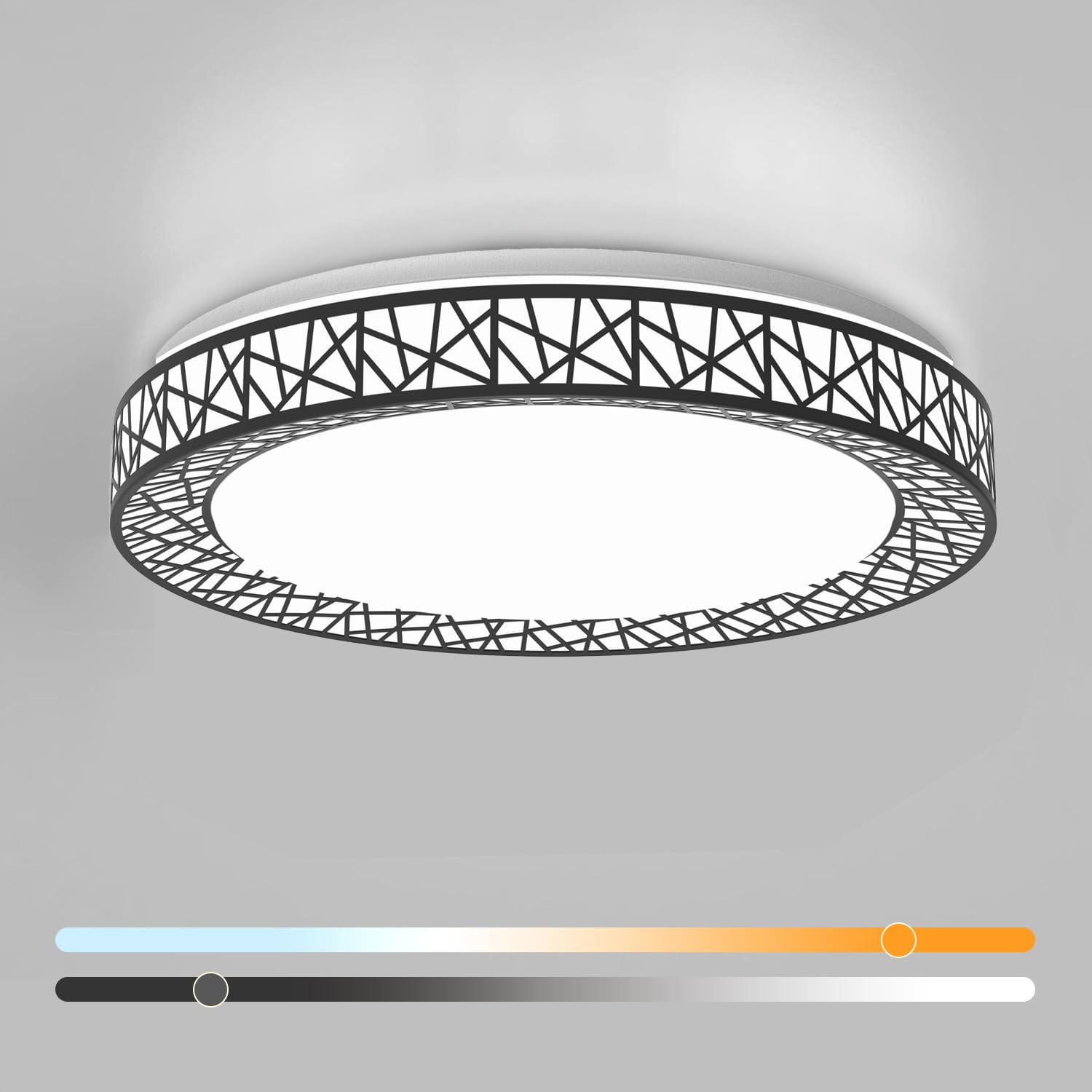Lightania 12 Inch Flush Mount Ceiling Light, Modern Black LED Ceiling Light Fixture, 20W 1400LM 2700-6500K Adjustable, Dimmable Ceiling Lights for Bedroom, Kitchen, Hallway, Bathroom, ETL Listed