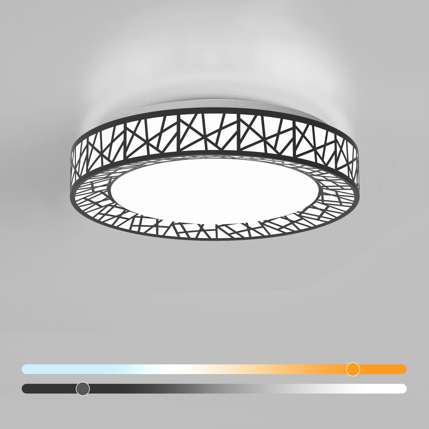 Lightania 12 Inch Flush Mount Ceiling Light, Modern Black LED Ceiling Light Fixture, 20W 1400LM 2700-6500K Adjustable, Dimmable Ceiling Lights for Bedroom, Kitchen, Hallway, Bathroom, ETL Listed