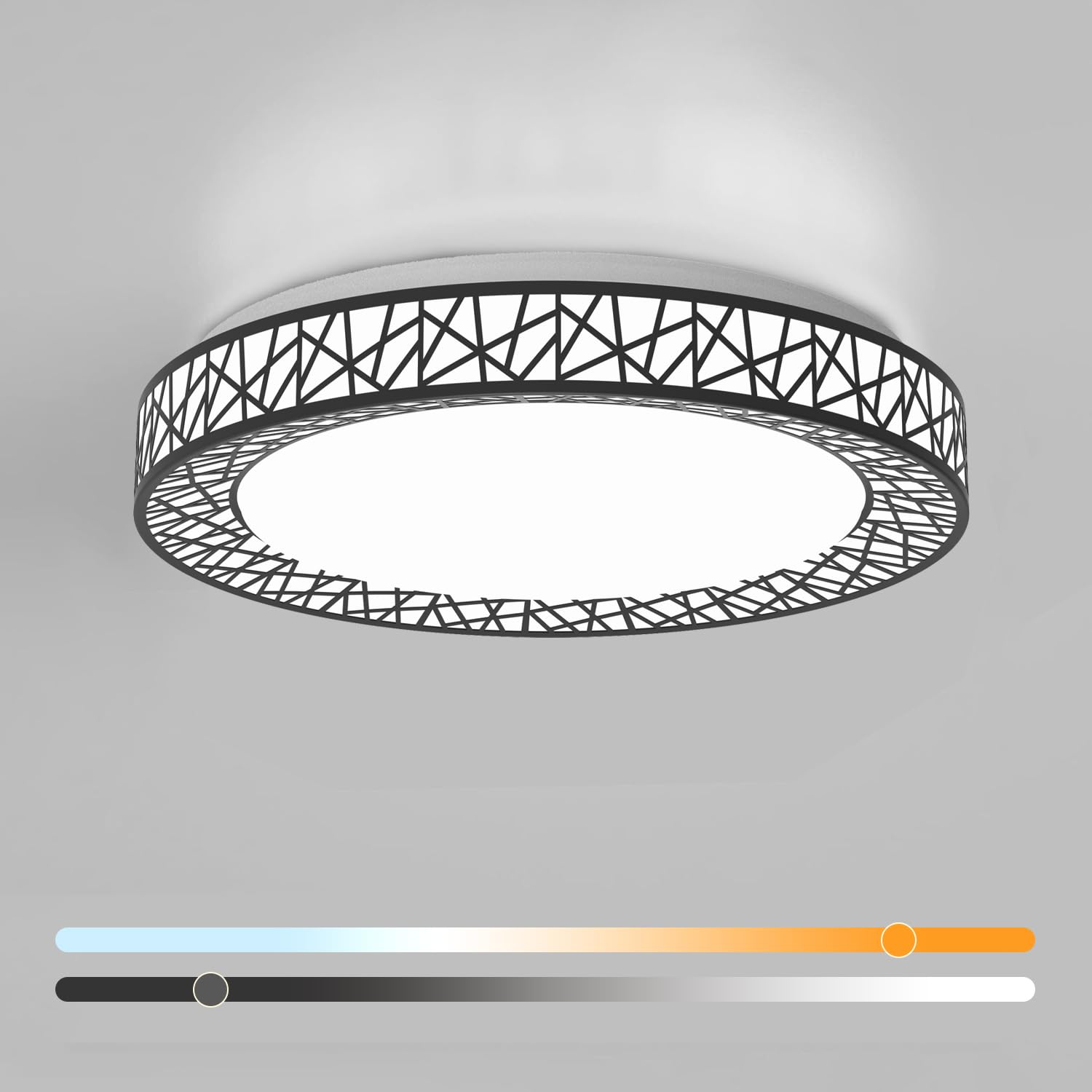 Lightania 12 Inch Flush Mount Ceiling Light, Modern Black LED Ceiling Light Fixture, 20W 1400LM 2700-6500K Adjustable, Dimmable Ceiling Lights for Bedroom, Kitchen, Hallway, Bathroom, ETL Listed