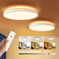 BLNAN Dimmable LED Flush Mount Ceiling Light Fixture with Remote Control, 12Inch 3000K-6500K Light Color Adjustable, Modern Ultra-Thin Ceiling Lamp for Bedroom Kitchen, Wired